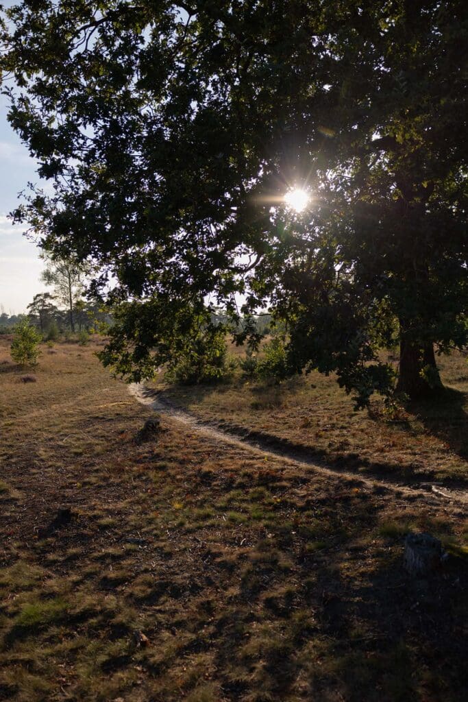 De fout die veel managers maken en welk leiderschap wel werkt.